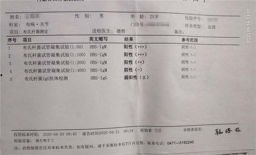兰州布病事件最新爆料,真相与反思并行